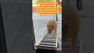Homemade dog ramp for our travel loving geriatric dog