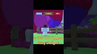 IS THIS THE BIGGEST ROSY DELIGHT IN ROBLOX GROW A GARDEN #roblox #growagarden #robloxmemes