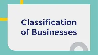 Classification of Businesses - Chapter 2 - Business Studies IGCSE