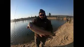 What a fun day catching these mount Lassen trout, Only toads!