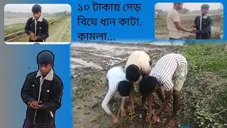Hello guys only Rs 150 Kisi Ko Kamna chahie To Bata dena  Aur mein like subscribe karo funny video🤣😅