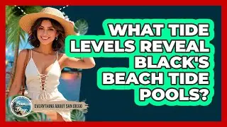 What Tide Levels Reveal Black's Beach Tide Pools?
