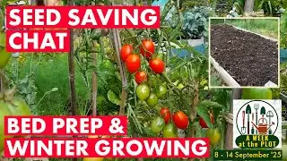 Nettle Fertiliser, Seed Saving, Loddington Farm visit & Winter Growing