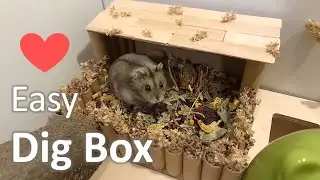 DIY Dig Box from Cardboard for a Natural Hamster Cage Setup