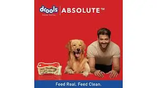 Drools Absolute Calcium Milk Bone For Small Breed Dogs - Dog Supplement - 30 Pcs