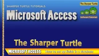 Microsoft Access - How to set up fields in a database table