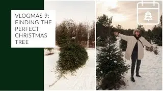 FINDING THE PERFECT CHRISTMAS TREE!