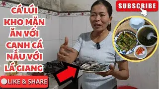 Let's make braised snakehead fish with salt and eat it with fish soup cooked with Giang leaves - ...