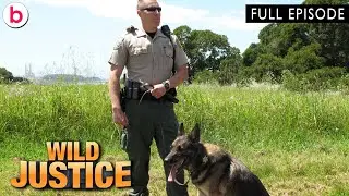 Wild Justice: California | Season 1 Episode 5 (2010) | FULL EPISODE