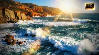 Ocean Waves To Ease Tension & Bring Deep Rest