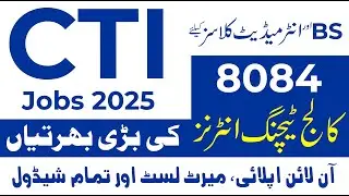 CTI Jobs 2025 | Punjab Colleges Teaching Interns 8084 Vacancies | Apply Online & Merit List