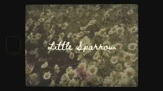 Paul Alan Morris - Little Sparrow (Official Video)