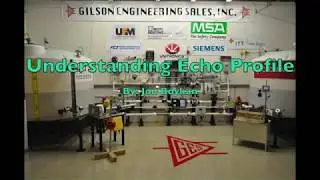 Interpreting the Echo Profile (TVT Curve) on Siemens Ultrasonic Level