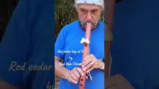This is why Red Cedar is a favorite for flutes ❤️ #MusicShorts