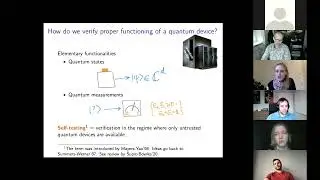 Laura Mancinska (QMATH, Copenhagen): Fixed-size schemes for certification of large quantum systems