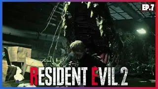 Эта битва с канализационным аллигатором была просто безумной! | Resident Evil 2 Remake (История Л...