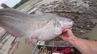 Catfishing at Smithland dam