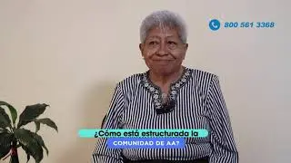 ¿Cómo se estructura la Comunidad de AA?