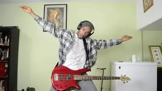 theotothefuture - mutt blink 182 - bass cover