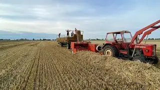 Prasowanie słomy 2023 Ursus c360 🚜Sipma Z224