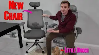 The Colamy ATLAS Ergonomic Chair is My New Daily Driver !!