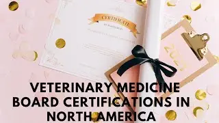Veterinary Board certification in US and Canada without licensing exam