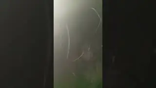 огооооооо