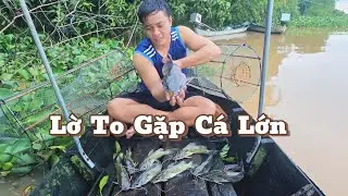 Lờ To Gặp Cá Khủng 