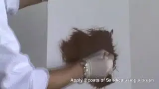 How to Apply Sandica- Ritver Wall Paints Special Effects