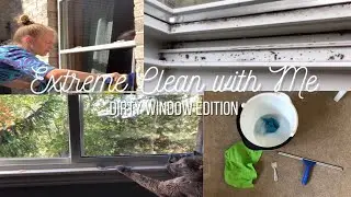 EXTREME CLEAN WITH ME // WINDOW EDITION // TIPS TO MAKE WINDOW CLEANING EASY