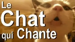 LE CHAT QUI CHANTE - PAROLE DE CHAT