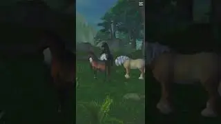 #club #sso #horse