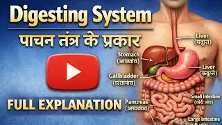 DigestiveSystem#पाचन_तंत्र#BiologyClass9#BiologyClass10#BiologyClass12#UPBoard#CBSEBoard#BoardExam 