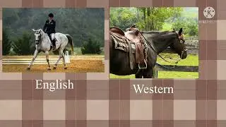 This Or That (equestrian edition)