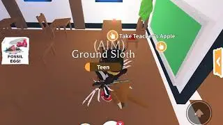 How to feed pet with no money spent, and location
