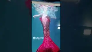 Raipur me jalpari | #jalpari #raipur #disneyland #mela #trending #shorts #prachinfoodvlogs #mermaid