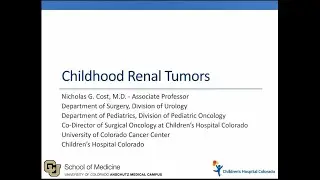 4.28.2020 PedsUroFLO Lecture - Childhood Renal Tumors