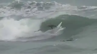 Piha Bar April 2018