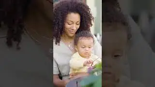Joie Pact Pro Stroller
