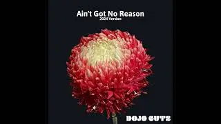 Ain't Got No Reason 2024 Version