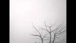 So it Goes ~ Anders Parker