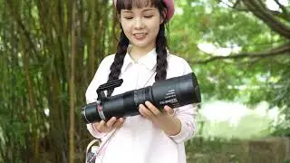 TTArtisan 500mm F6.3 Telephoto Lens， cheap but useful.