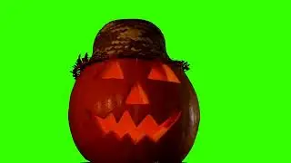 Halloween pumpkin on green screen 4k footage
