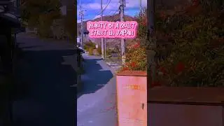 Beauty a Quiet Street in Japan #japantravel #cinematic #quiet #japanstories