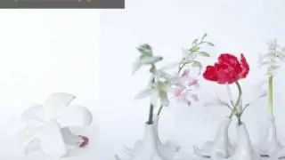 World's Most Creative Flower Vases