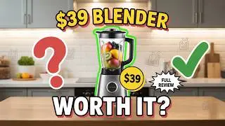 What Experts Know About Hamilton Beach Blenders That You Don't