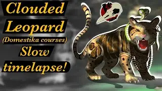 Clouded Leopard🐆 (Domestika Course) Extended Version Timelapse! #noaiart #fantakiemart #domestika 