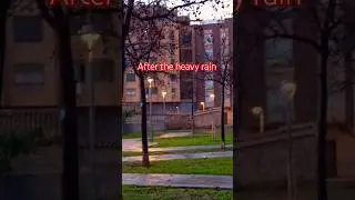 Когда всё мокрое 🌧️🌧️