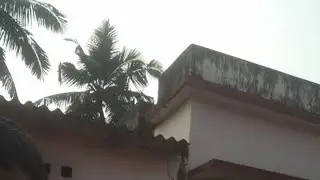 UTKAL TECH is live from playground
