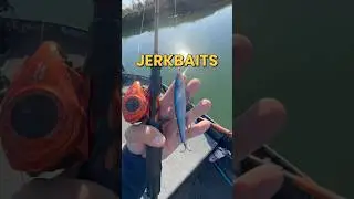 Are Jerkbaits REALLY The BEST Bait For Fishing In Winter?